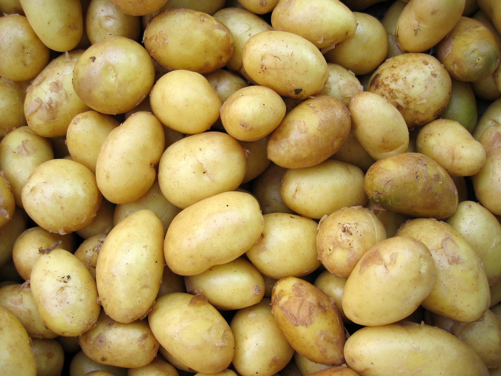 Лечение геморроя картошкой: способы применения, рецепты, отзывы