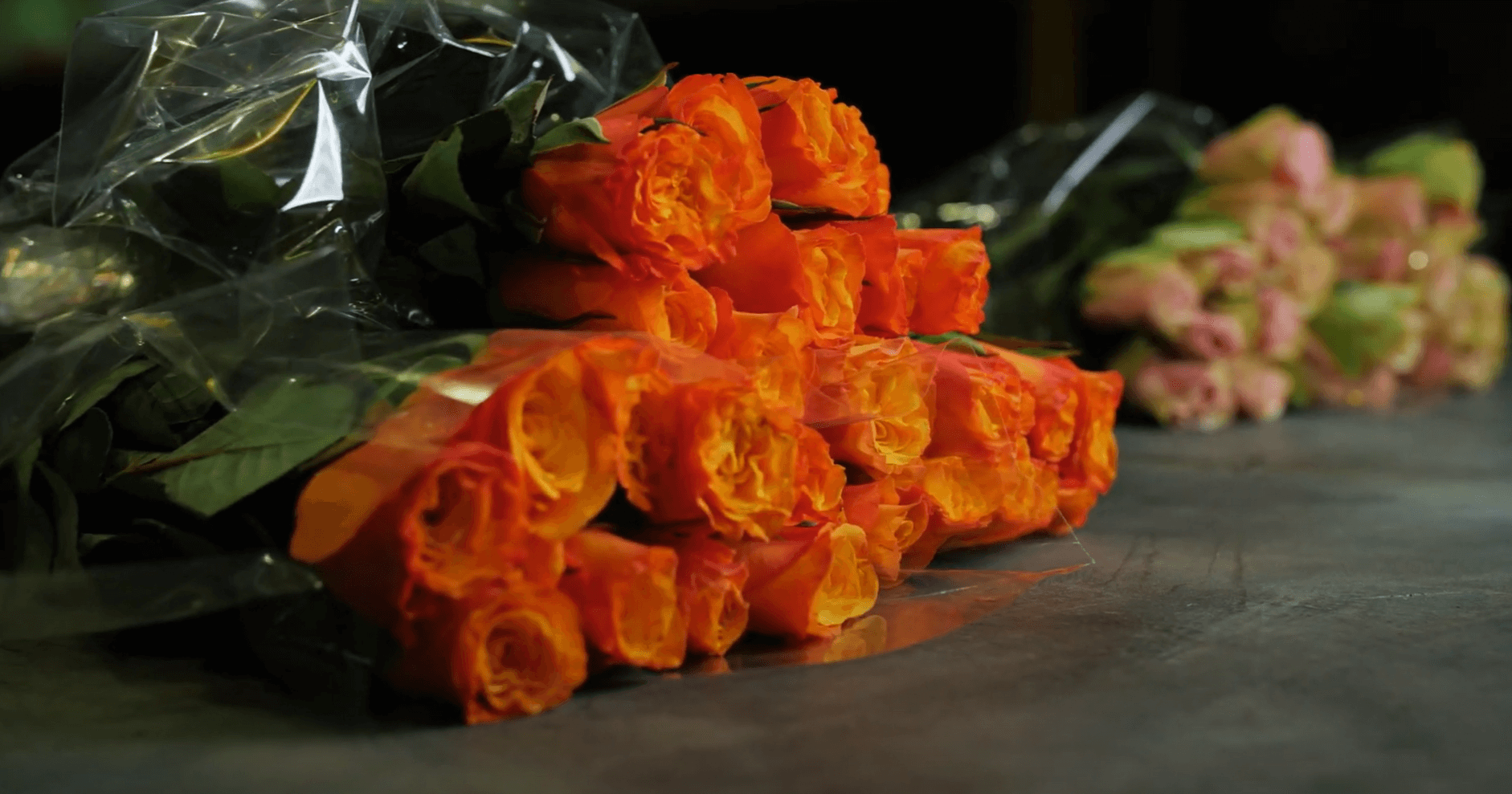 Как заказать розы из Кении от плантаций Heritage Flowers и Zena Roses?