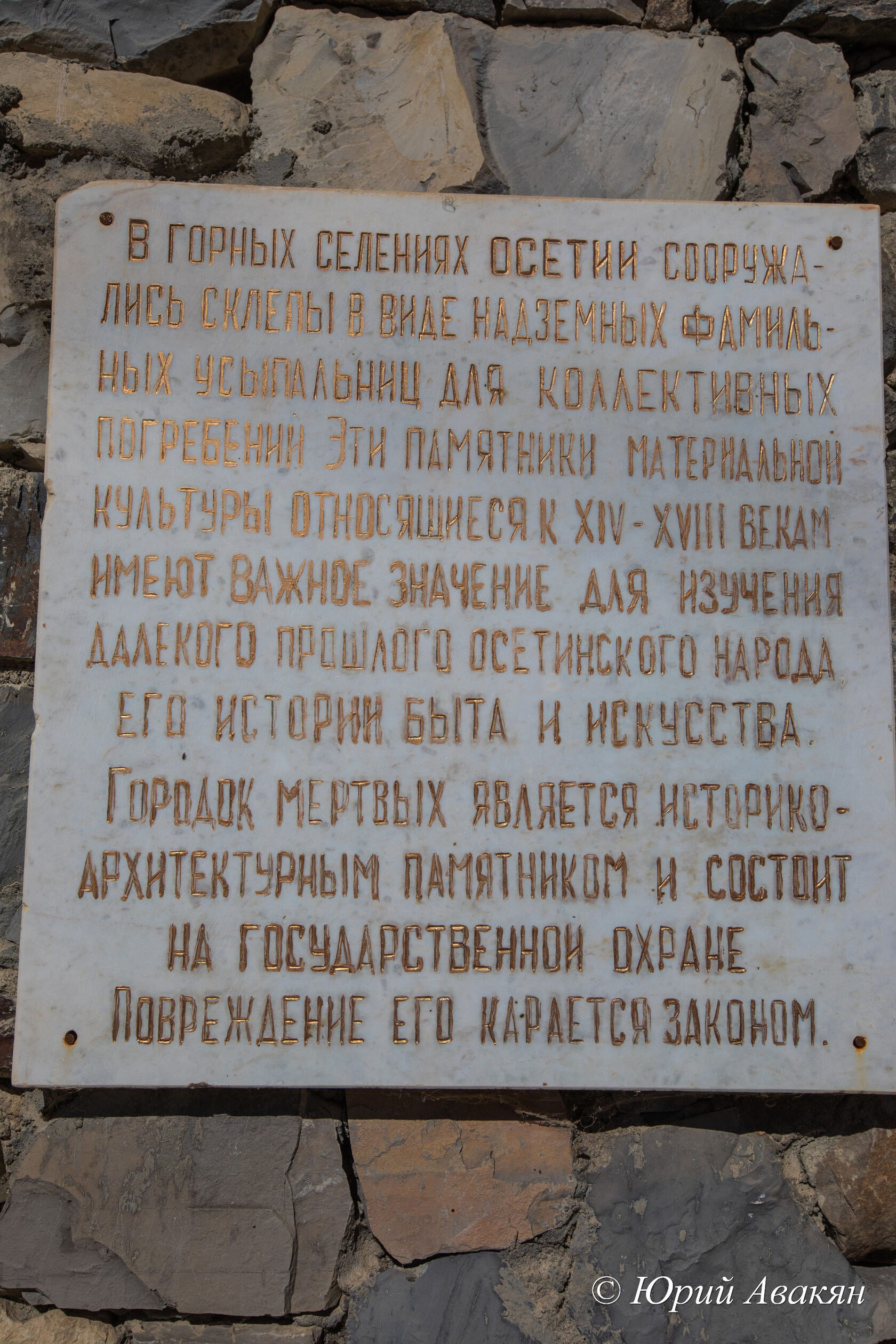 1Y1A6962