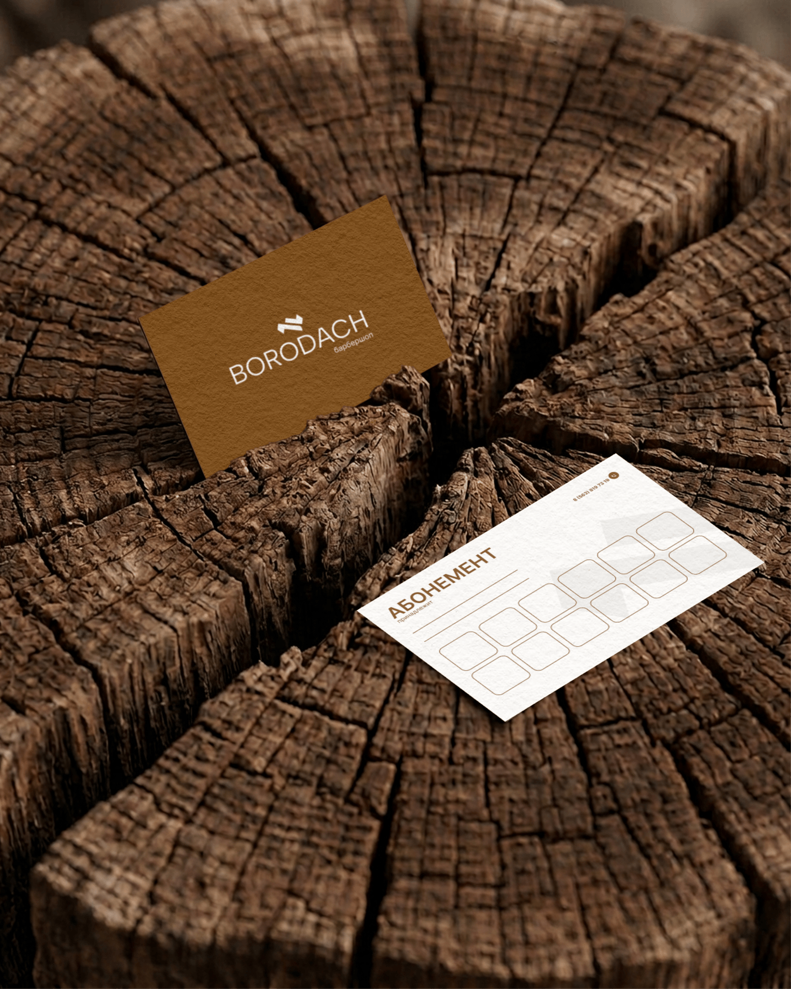 Borodach 6
