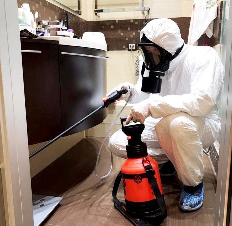 Травля тараканов и других насекомых в Королеве, Мытищах, Пушкино ...