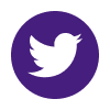 Twitter icon