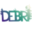 debri.guide