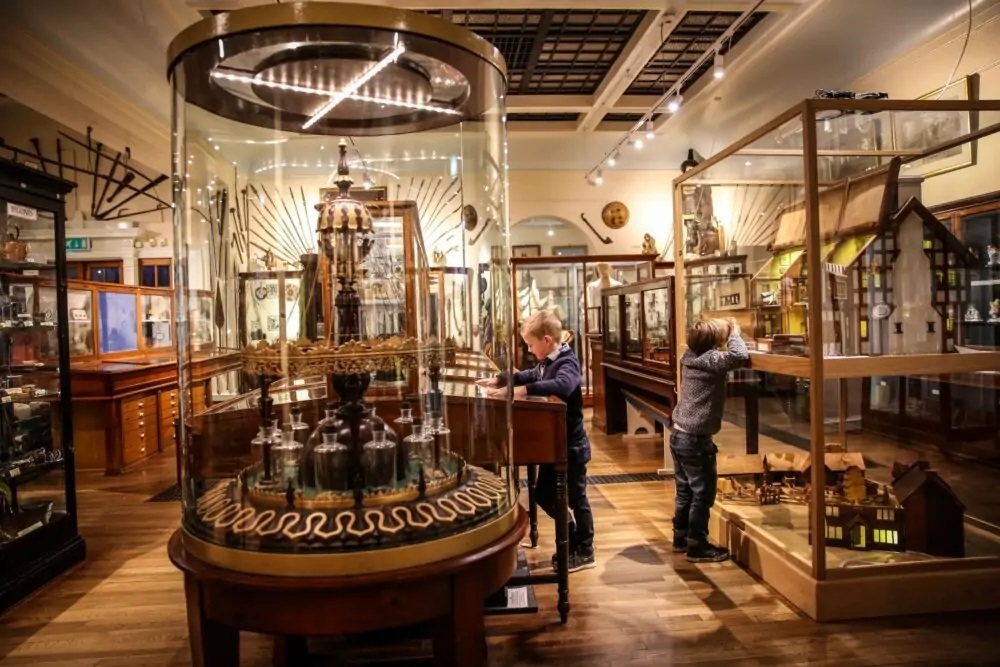 История гирудотерапии