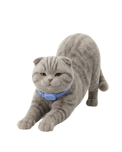 Кошка потягивается