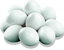 куриные яйца