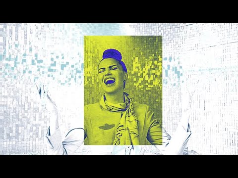 Превью видео «Собака на борту самолёта»