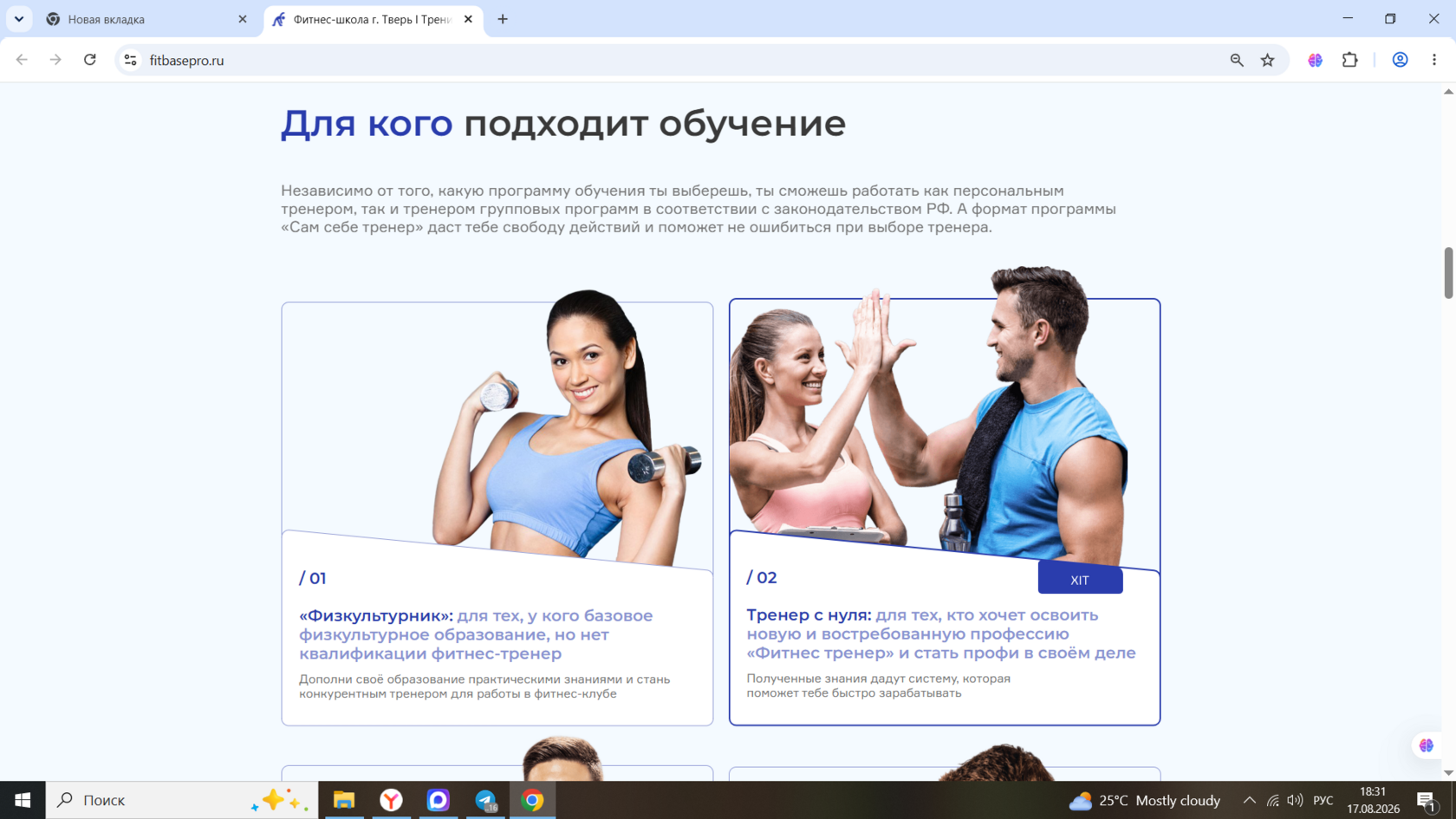 Website section