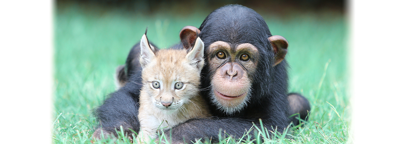 Советы психолога как спасти отношения