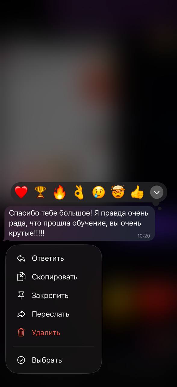 Отзыв ученика