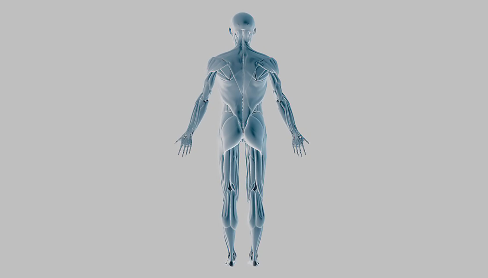 Онлайн-курс "Анатомическая йога"