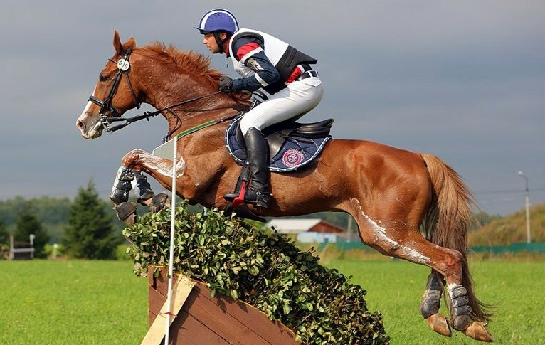 Фотографии тренеров в КСК "Премиум"