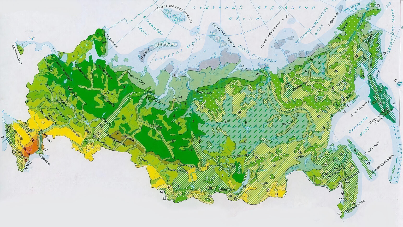 В этой природной зоне преобладают хвойные. Виды лесов в России карта. Карта лесов России подробная. Карта лиственных лесов России. Карта Лесной растительности РФ.