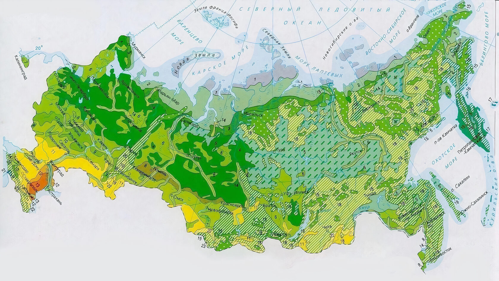 Самая большая степная заповедная территория европы название. Карта лесов РФ. Карта типов леса России. Типы лесов в России карта. Карта лесов России подробная.