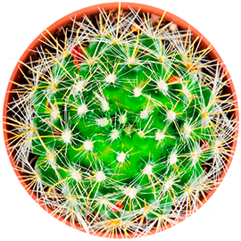 Создание сайтов kaktus.pro - кейс "Орская Топливная Компания"