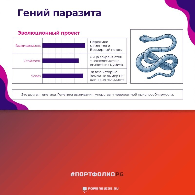Обложка поста «Презентация новой книги» в Telegram-канале ПауэрГайд