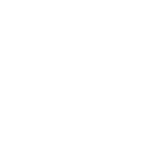 website icon