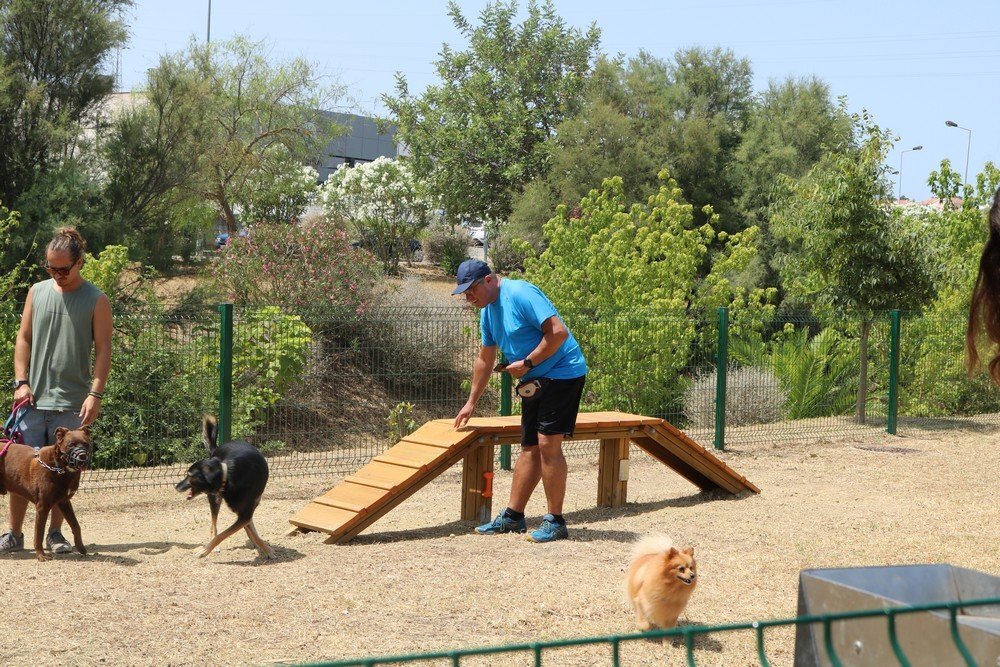 правила содержания животных 