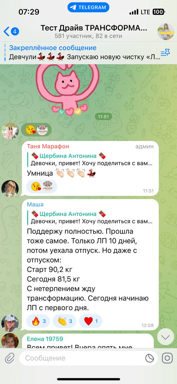 Переписка в чате участниц