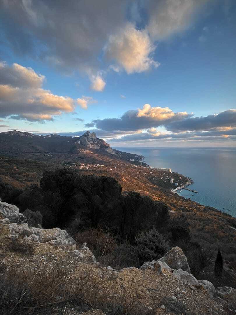 Крым сосны горы море Песчаное