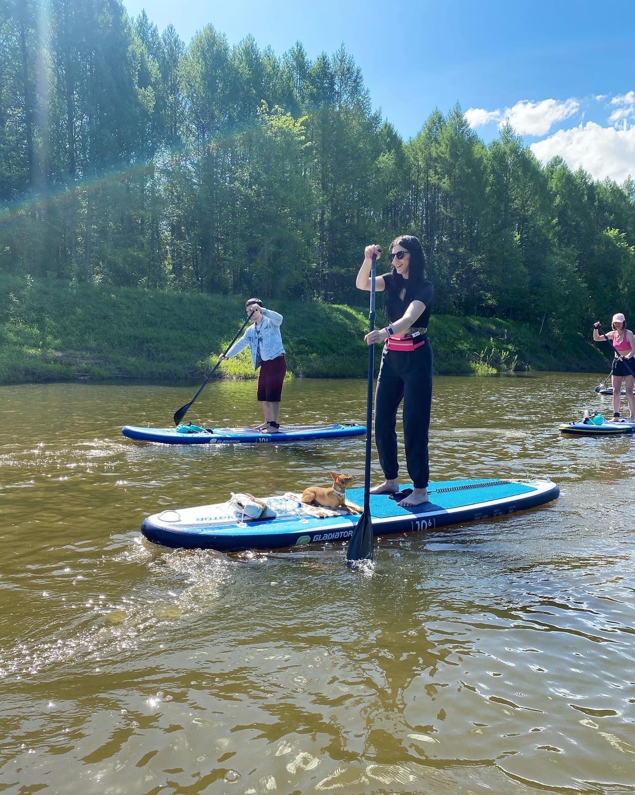 Катание на сапах ярославль. Sup сплав. Сплав на САП досках. Sup Кострома. Sup – Club «Заря».