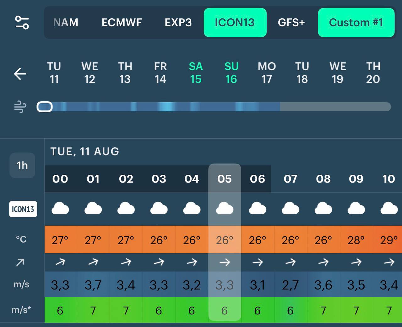 Forecast table with Custom #1 selected