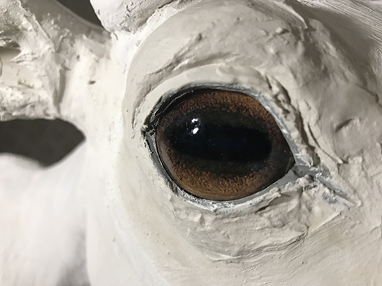 Работа над муляжом