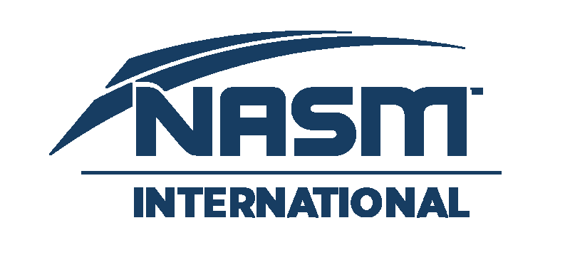 pfc blog - nasm-cpt 专栏 - 渐进式的核心训练—nasm-opt 模型(第二