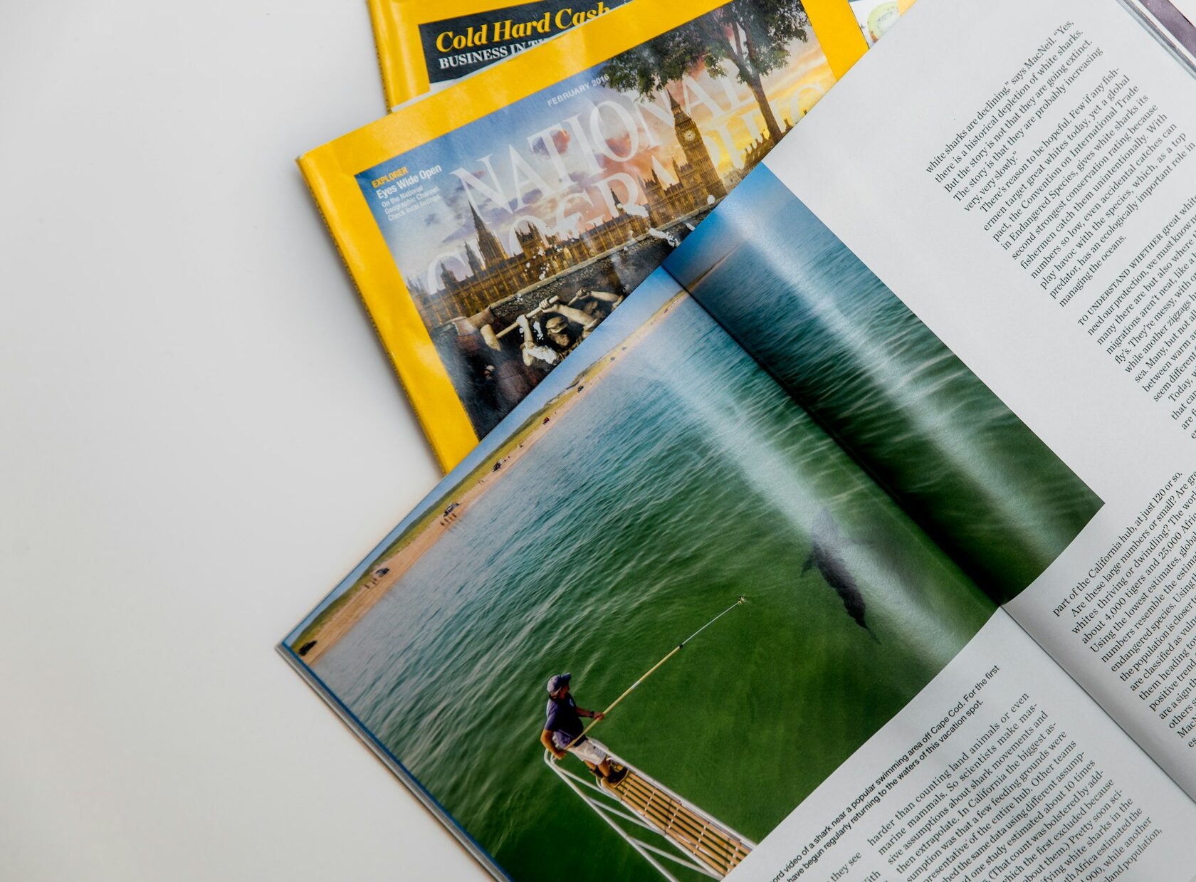 Travel Magazine Layout