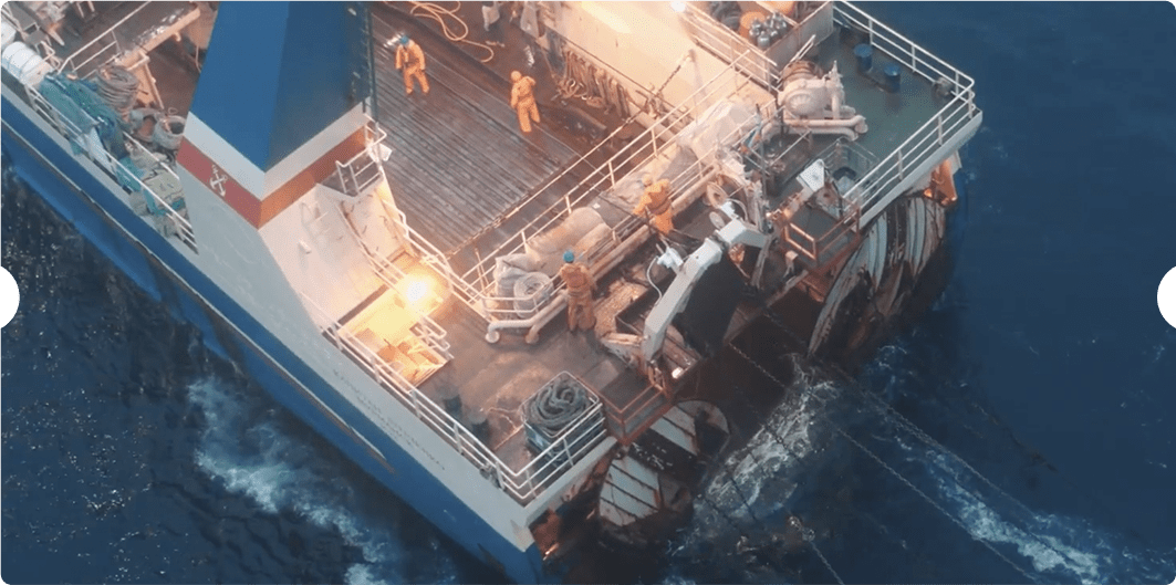 Nord Pilgrim | Продажа креветок
