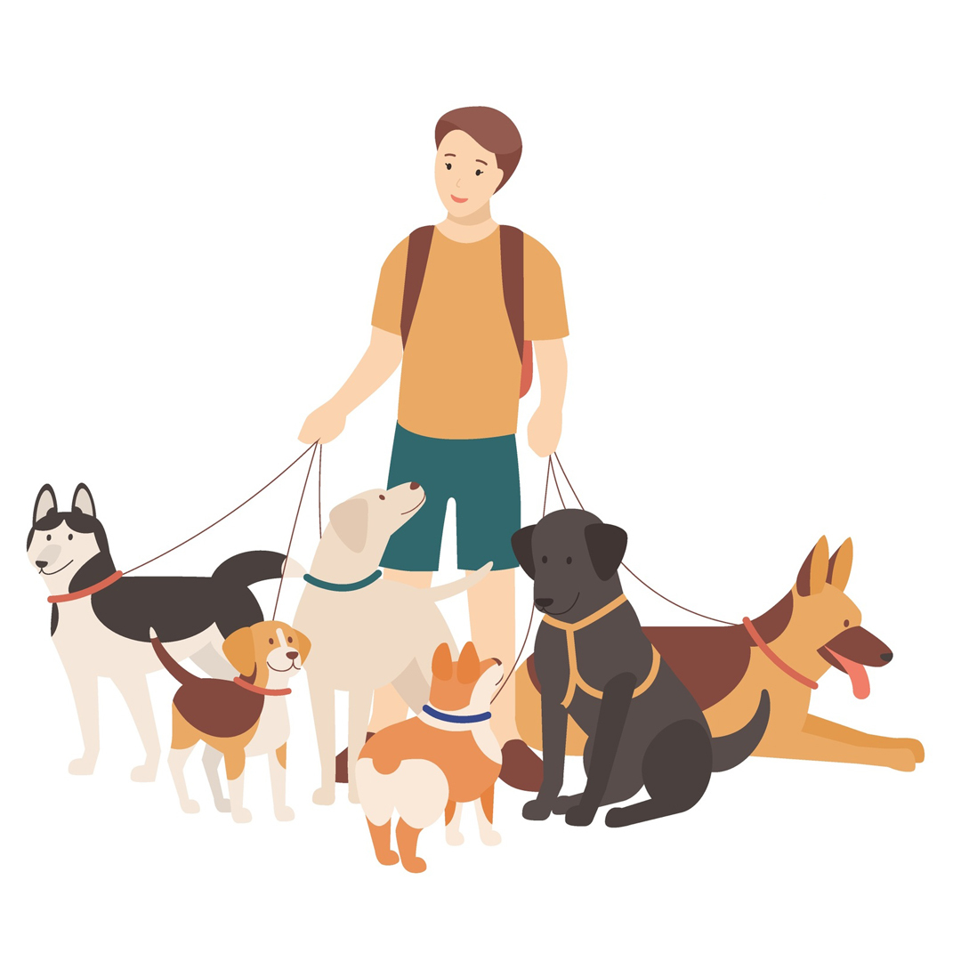 Leash & Paws Dog Walking Services