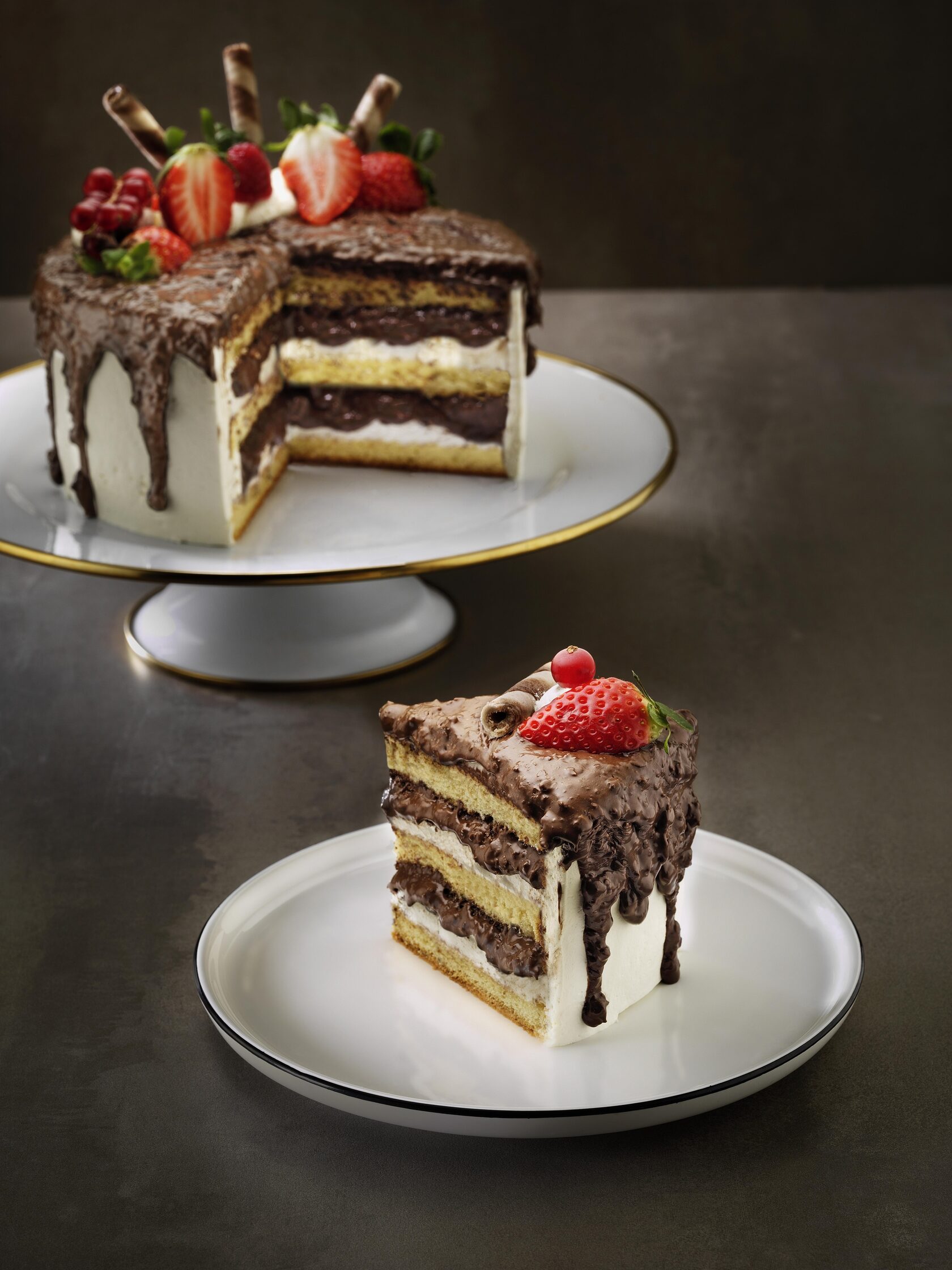 Vizyon / Polen Food — официальный представитель в России