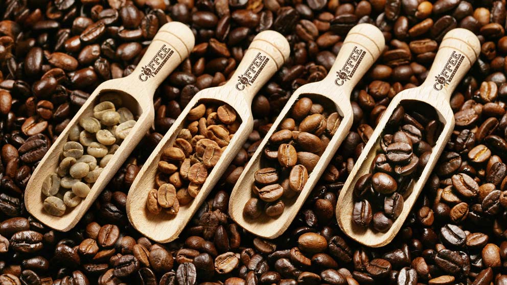 Why is it important to choose freshly roasted coffee