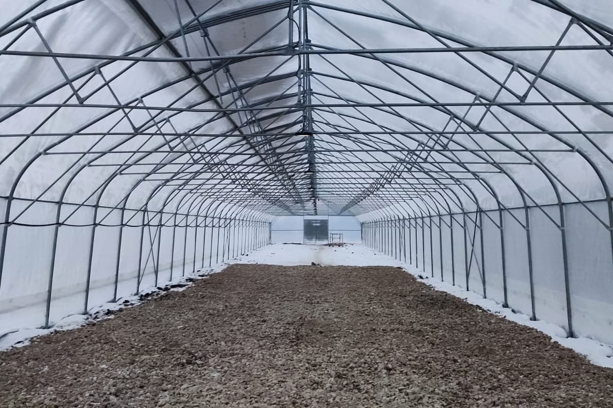 экономия на продуктах