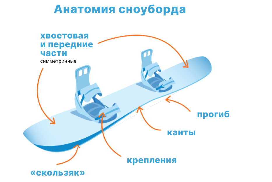Схема строения снуоборда