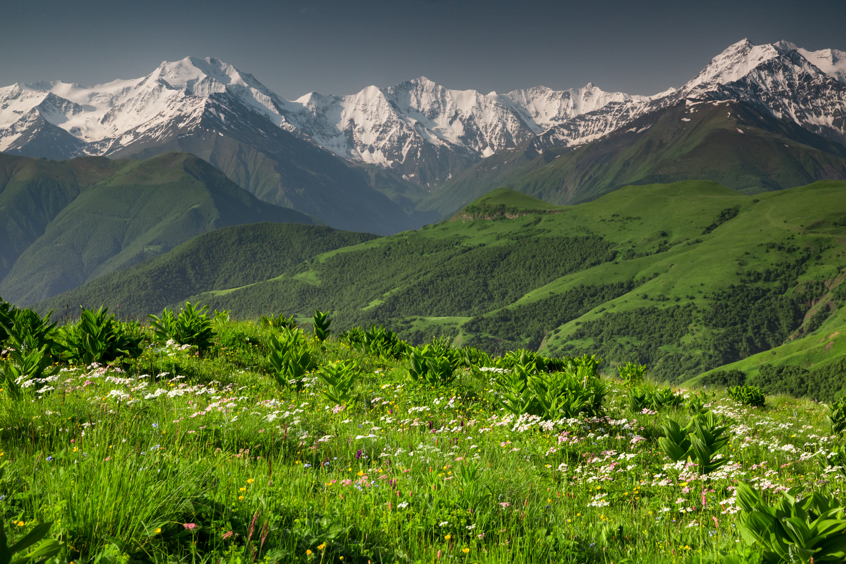 Кавказские Горы Фото Окружающий Мир