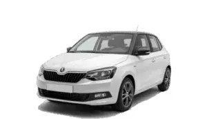 Ремонт Škoda Fabia