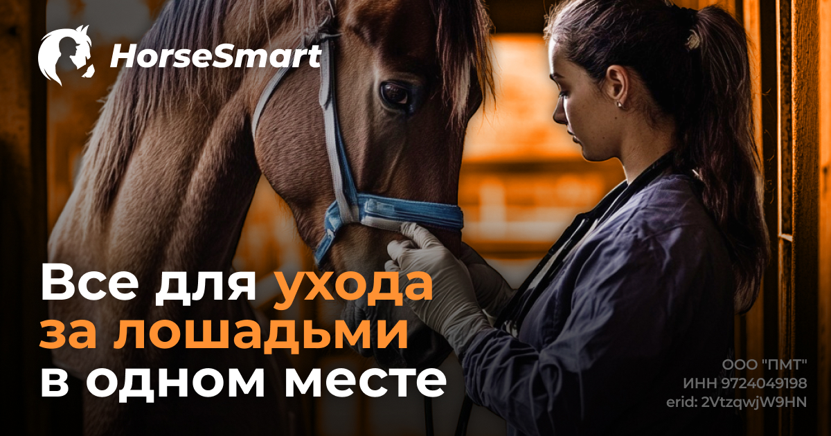 Маркетинг бюро Able, digital маркетинговое агентство полного цикла, сайт креативного маркетинг бюро, бренд Юдашкин