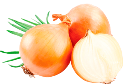 Нормы внесения Гумифулин и Органол для лука