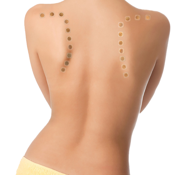 Валерий Уваров Пирамиды наследие богов, Кадуцеи Гора, Кадуцеи Ба-Ка, Жезлы Гора, Цилиндры фараона, Жезлы Египтян, Жезлы Ра