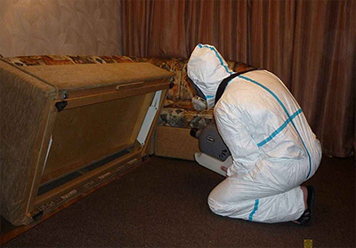 Дезинфекция от клопов Казань цены