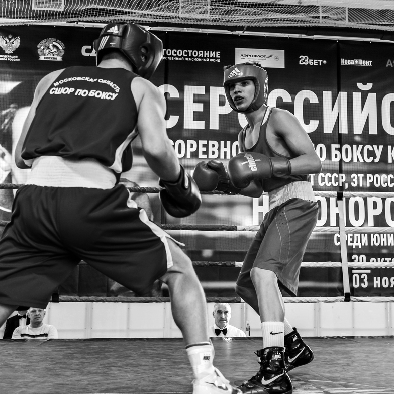 Moscow boxing