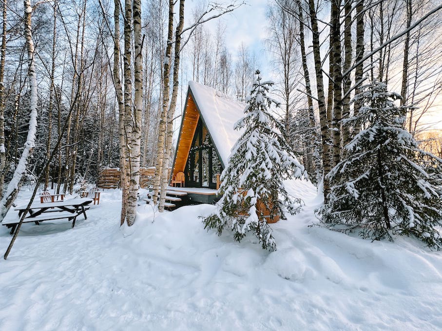 Тишина и уединение в лесу для зимнего отдыха в Подмосковье