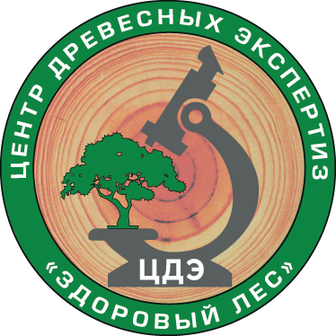 Центр древесных экспертиз «ЗДОРОВЫЙ ЛЕС»