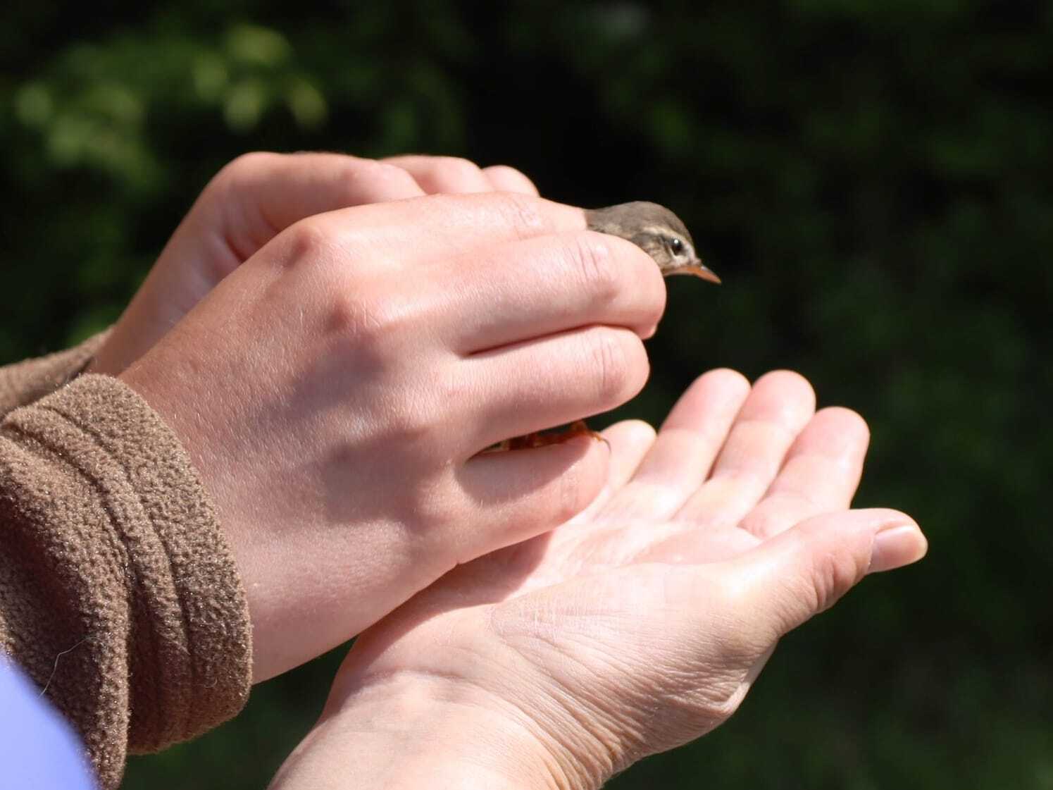 БАЙКАЛЬСКИЙ ЗАПОВЕДНИК