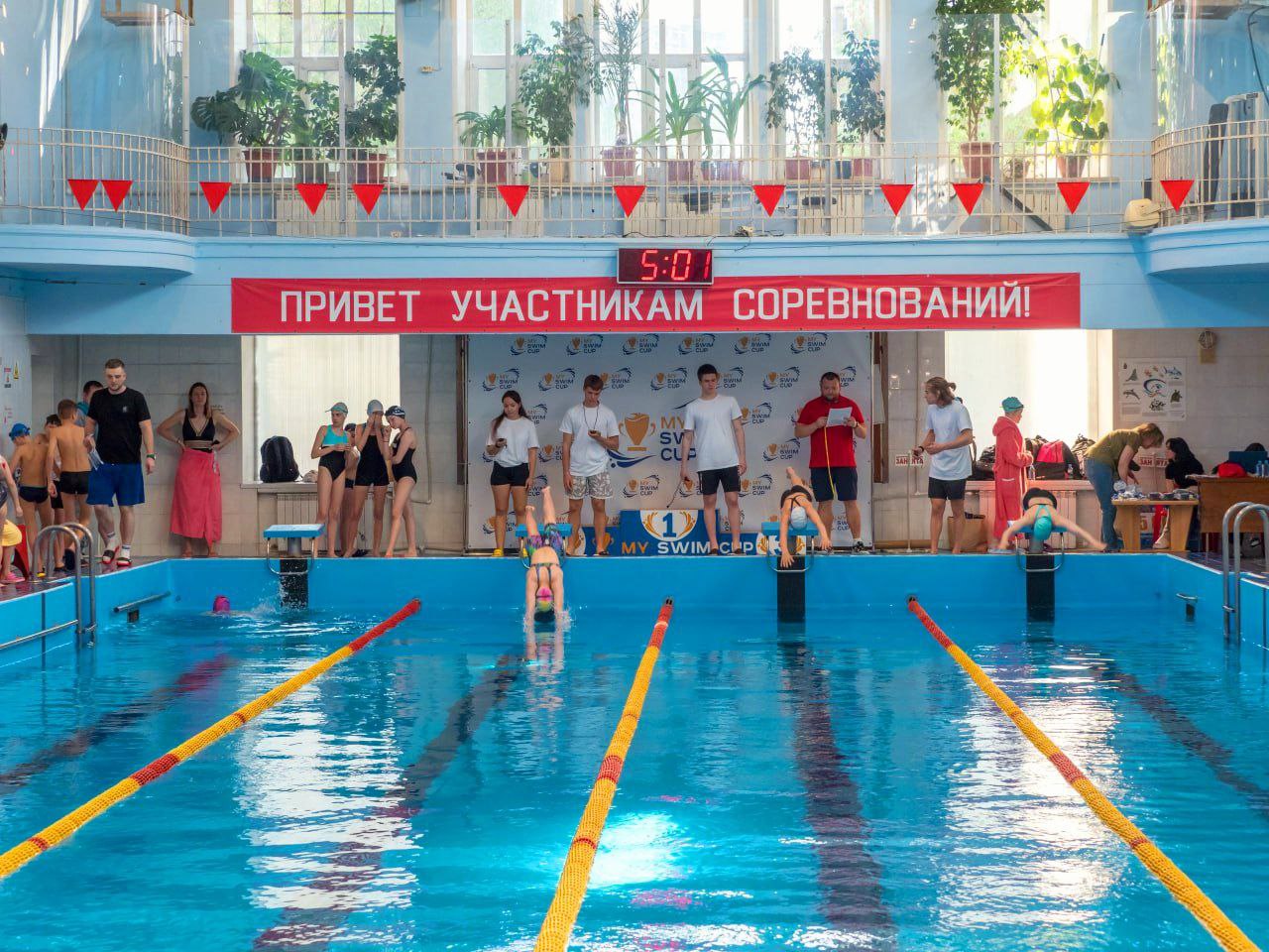 Школа плавания My Swim Team