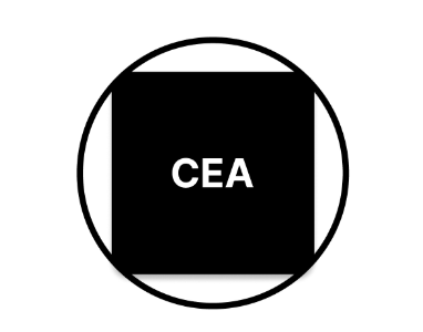ДЕСИКА