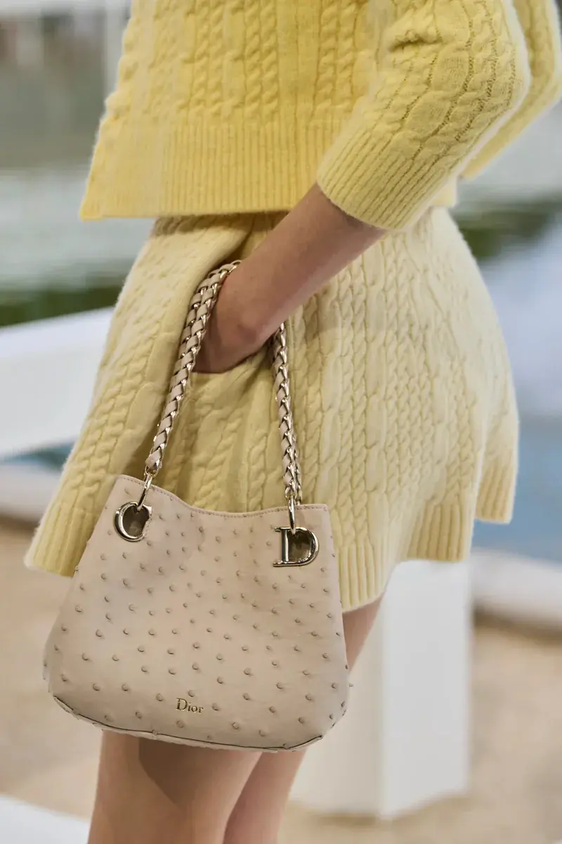 Сумки Dior Spring 2027 30
