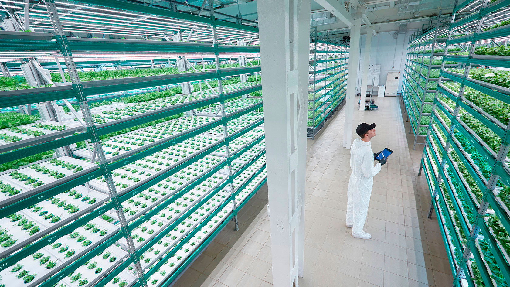 Market overview: Fresh greens and vertical farming in the UAE