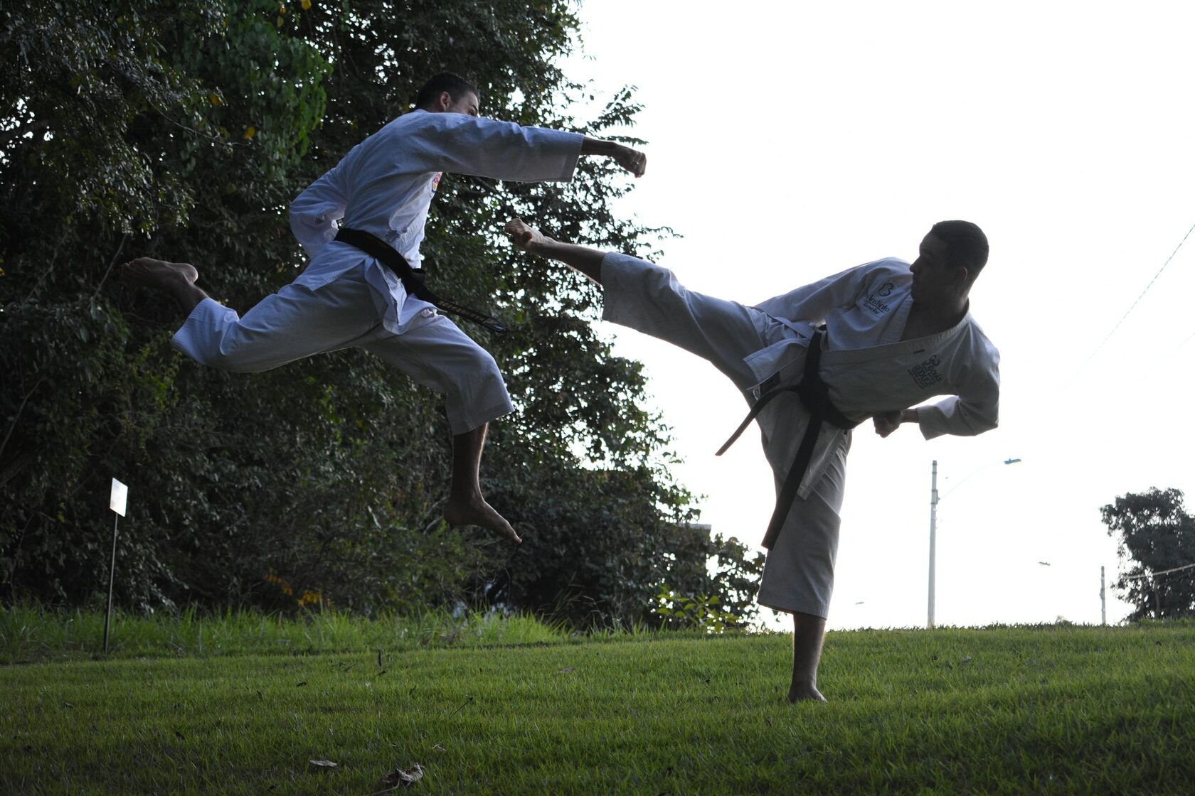 Kyokushin Fight